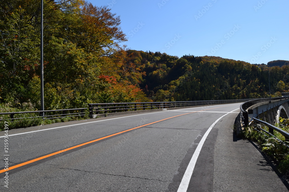 Fototapeta premium 山岳道路 山形県庄内