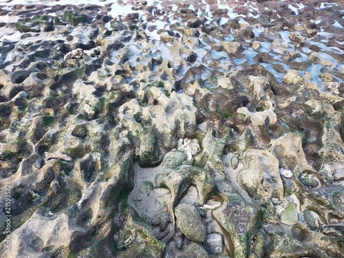 Natural Stone Texture on a Tropical Rocky Beach