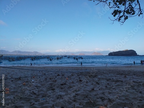 Sandy Beach with Peaceful Ocean and Scenic Coastal View