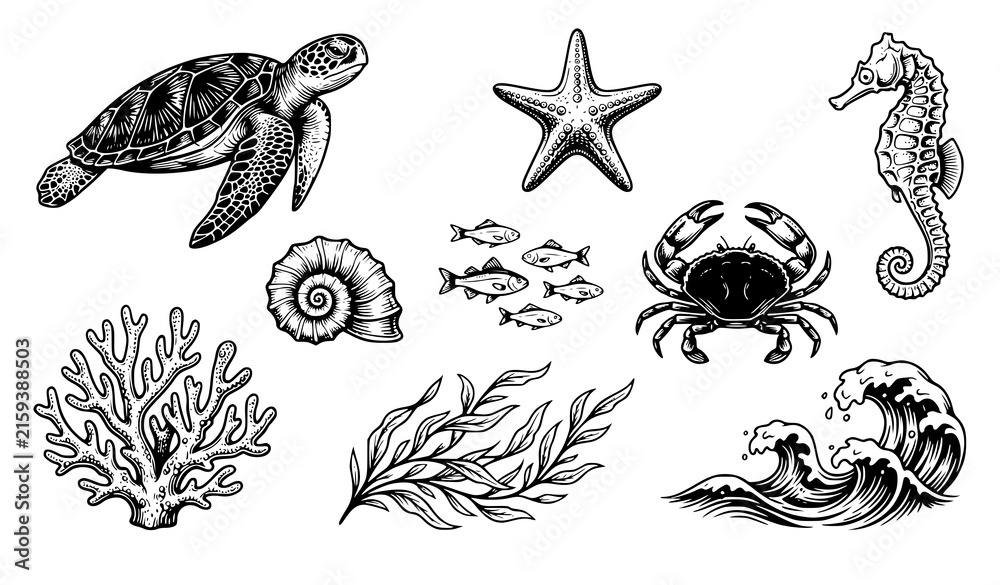 Obraz premium Sea Turtle Coastal Wildlife Black Vector Collection with Seashell, Starfish, Seahorse, Fish, Crab, Coral, Seaweed and Waves