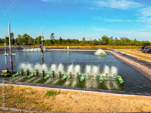 Obraz na plátne Modern aquaculture shrimp farm pond lined with HDPE liner and oxygen aerator equipment