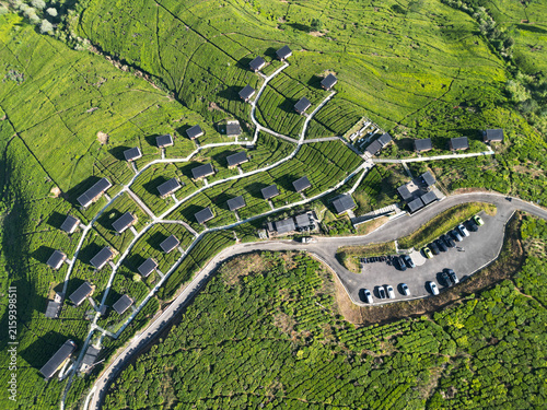 Aerial View of Cabin Resort in Green Tea Plantation Hills