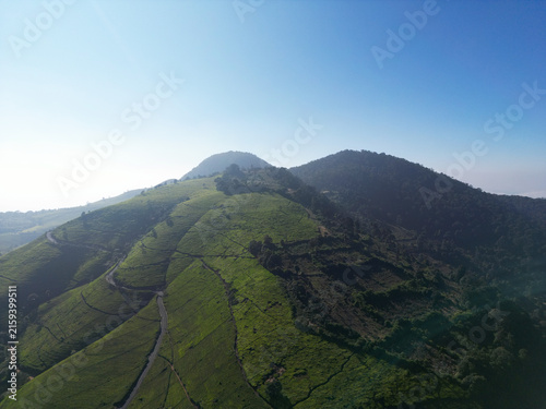 Aerial View of Twin Green Peaks Above Tea Plantation Slopes