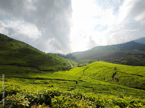 Sunburst Over Lush Tea Plantation Hills in West Java