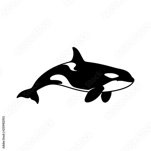 Orca whale silhouette swimming vector illustration
