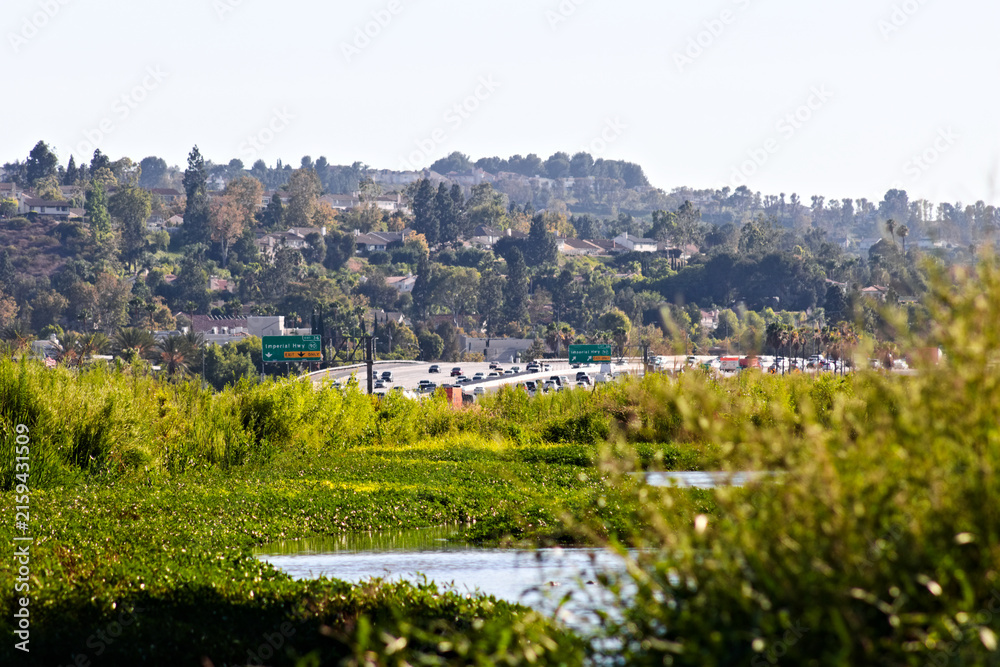 Fototapeta premium A green Santa Ana River corridor runs beside freeway traffic and hillside neighborhoods under clear summer skies in Yorba Linda.