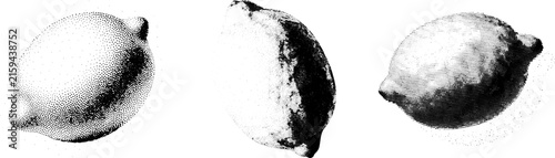 Black and White Vector Illustration of Three Lemons in Vintage Halftone and Stipple Style Isolated on White Background