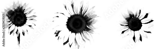 Set of three black and white halftone sunflower icons in a dithered vintage pop art style on white background
