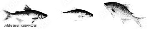 Three Fish Halftone Vector Illustration Set Monochrome Retro Stippled Design Elements
