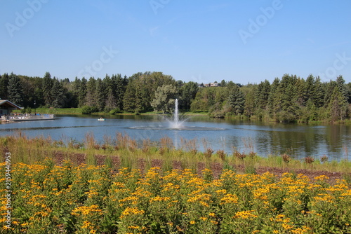 Blooms Of Summer, William Hawrelak Park, Edmonton, Alberta