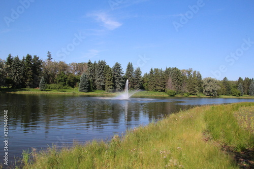 lake in the woods