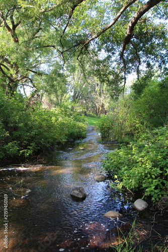 stream in the forest, William Hawrelak Park, Edmonton, Alberta