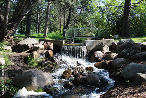 small waterfall in the forest