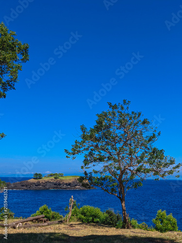 Konstfotografi Tropical Tree on Coastal Cliff Overlooking Blue Sea and Small Island