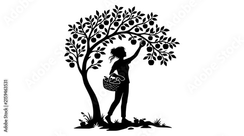 Silhouette of a Woman Picking Fruit from a Tree