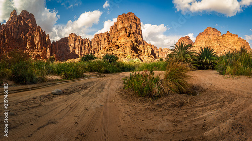 Quadro su tela Wadi Al Disah, Northwest Saudi Arabia