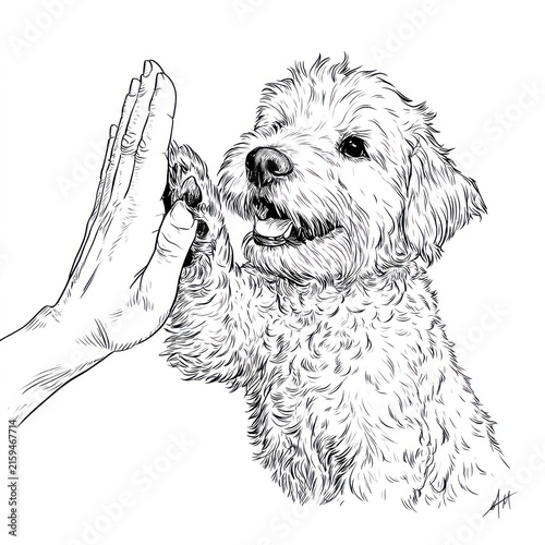 Dog paw high five with hand