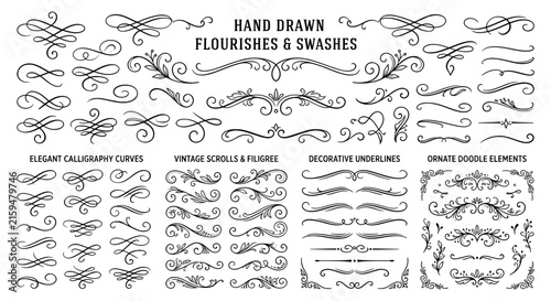 Obraz na płótnie Hand drawn flourishes and swashes with elegant calligraphy curves and vintage sc