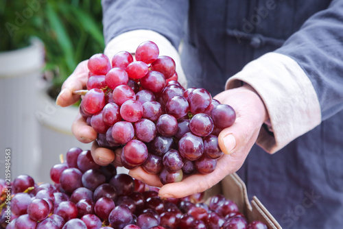 Canvastavla Fresh Red Grapes from Turpan Xinjiang Held in Hands - Quality Fruit Harvest