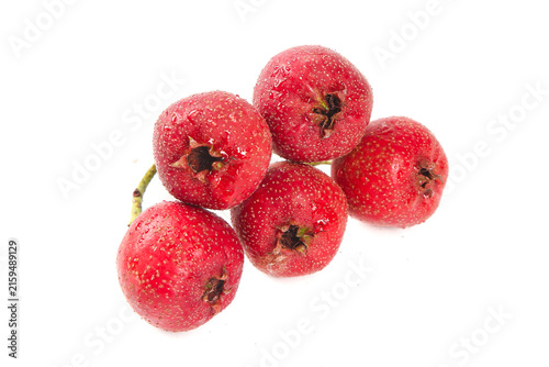 Fotografía Fresh Red Hawthorn Berries with Water Droplets on White Background
