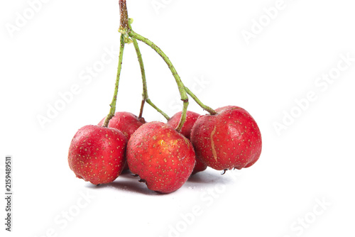 Foto Fresh Red Cherries with Dewdrops from Yimeng Mountain - Freshly Picked Fruit on