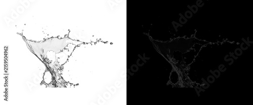Obraz na plátně Dynamic water splash on white and black background, high speed liquid crown spla