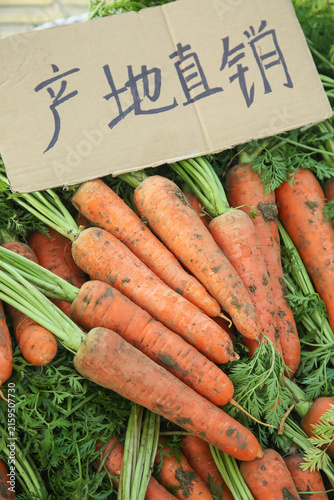 Fresh Organic Carrots with Chinese Sign at Yunnan Farm Market - Locally Grown Vegetables