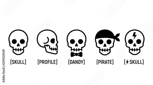 Set of Various Cartoon Skull Icons and Symbols