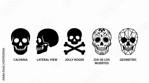 Set of Various Human Skull Icon Styles