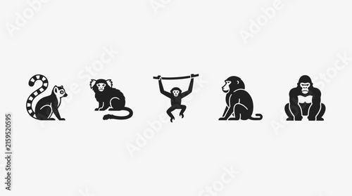 Set of Various Wild Monkey and Primate Icons