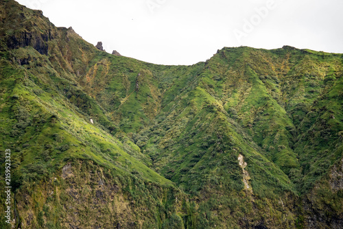 Принти на полотні Rugged, mountainous terrain covered in tussock grass on Gough Island in the Sout