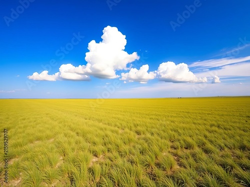 Flat grassy plain stretching far and wide, with a brilliant blue sky above, featuring four fluffy white clouds, clouds, outdoor