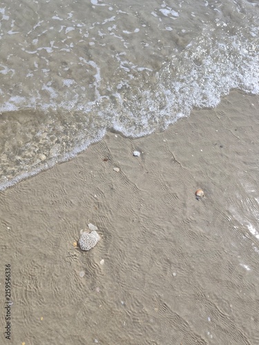 Sticker Gentle sea waves, clear water, and coral on sandy tropical beach texture