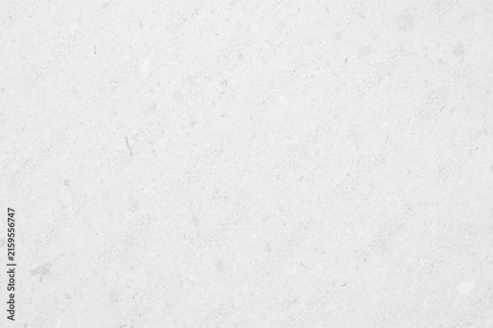 Fototapeta premium White recycle paper cardboard surface texture background