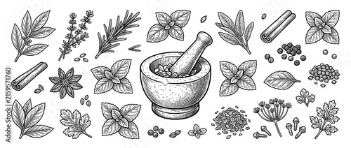 Foto Herbs and Spices Collection with Mortar and Pestle, Engraved Style