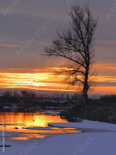 A winter scene showing the sun setting amongst stratus clouds, reflected in the river and the silhouette of a bare tree.