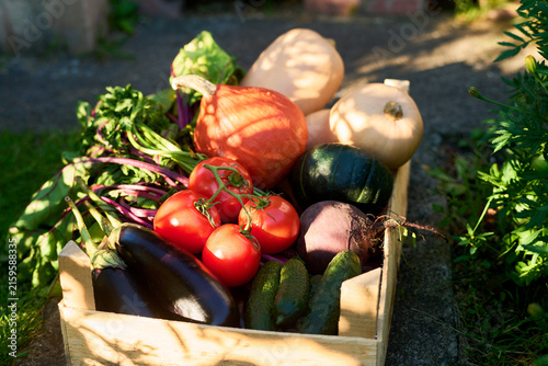 Fotografie Fresh organic vegetables sitting in wooden crate outdoors, representing local harvest and healthy eating