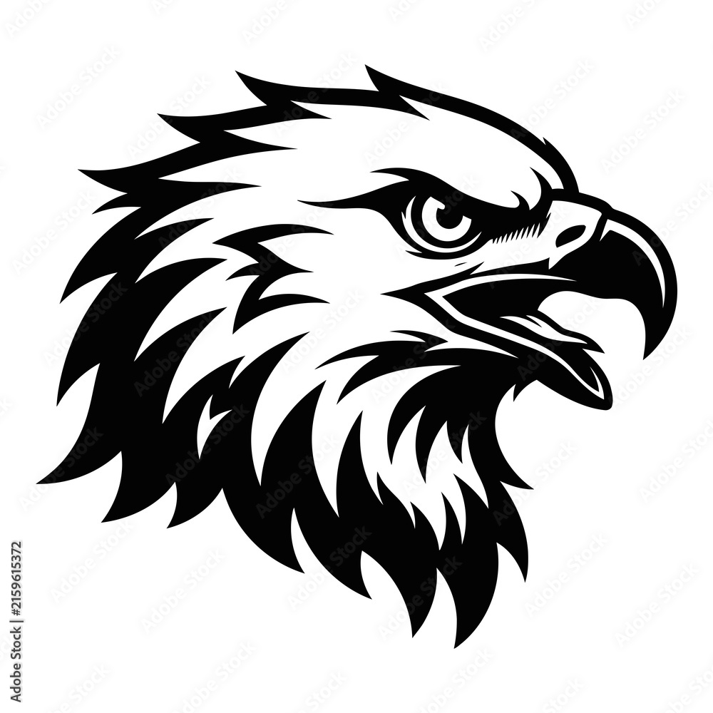 Fototapeta premium Bald eagle head illustration in black and white with open beak and sharp feathers