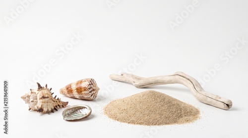 Natural beach elements with shells, sand, and driftwood on white background