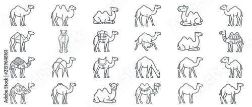 Obraz na plátne Set of camel icons in minimalist line art style