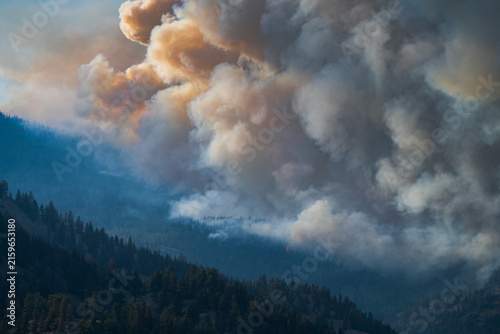 Fotografía Thick smoke billows from a mountain forest fire