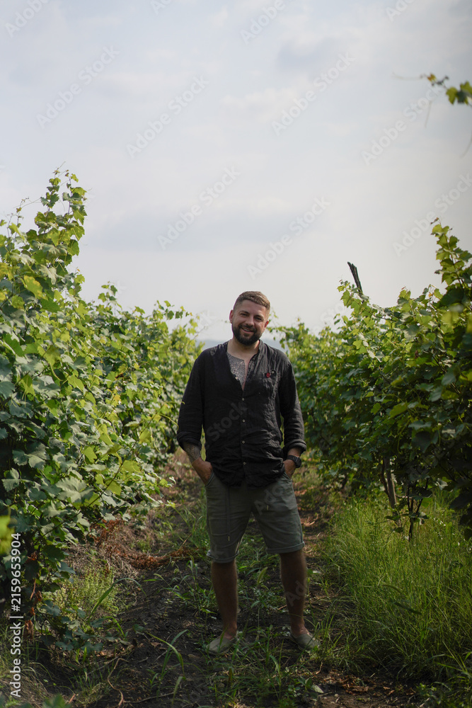 Naklejka premium Smiling tattooed man standing in a vineyard