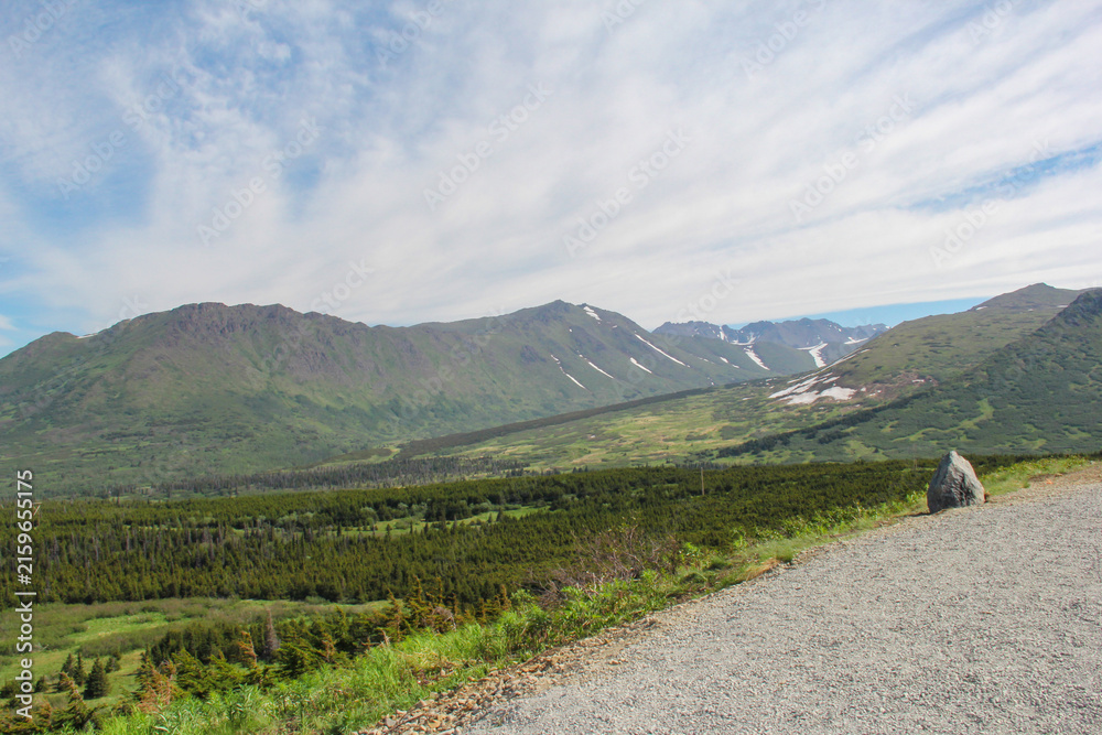 Fototapeta premium Panoramic view of the Chugach Mountains and green valley near Anchorage, Alaska. Summer landscape of Alaskan wilderness with a gravel path, evergreen forest, and mountains with remaining snow patches.