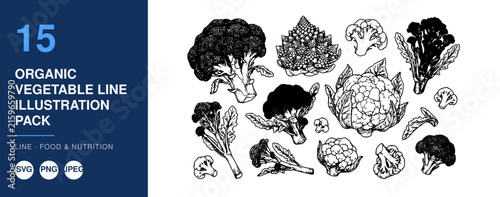 Organic Vegetables Line Illustration Pack, Food and Nutrition Design, Botanical Icon Set