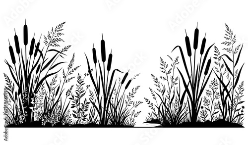 Принти на полотні Hand drawn natural reeds and cattail plants arranged as a decorative horizontal