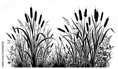 фотографія Detailed hand drawn collection of tall cattail reeds, wild grasses, leafy plants
