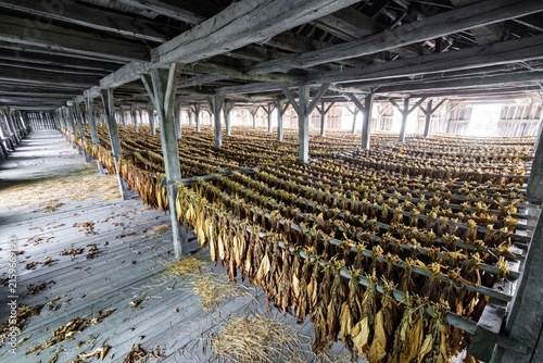 Indoor Spice Market with Rows of Goods on Wooden Tables