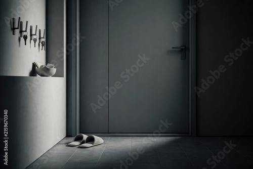 Modern Minimalist Hallway Entryway with Decorative Hooks and Shoes