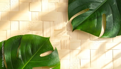 Tropical Monstera Leaves on Light Fabric Background.