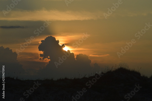 Florida Wildlife golden sun sets over dunes